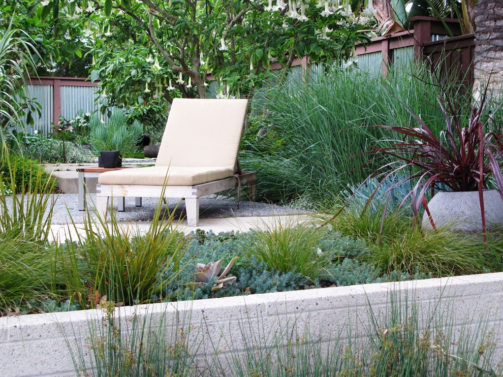 Design ideas for a contemporary backyard garden for summer in San Diego.