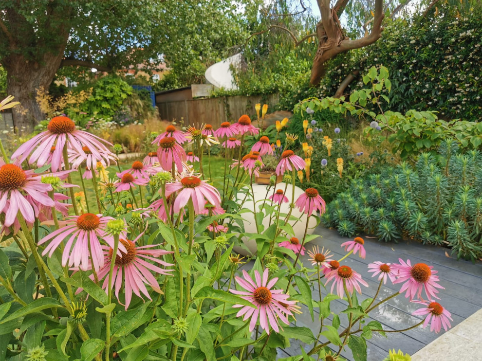 Mittelgroßer, Halbschattiger Moderner Garten hinter dem Haus, im Sommer mit Blumenbeet, Dielen und Holzzaun in London