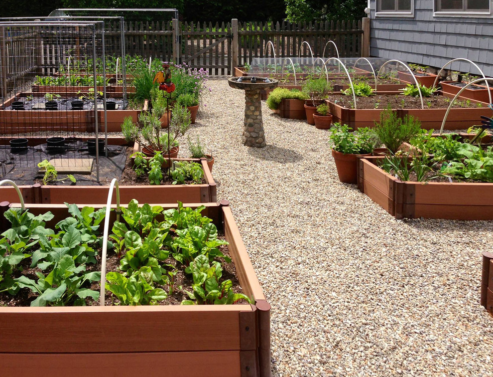 Photo of a backyard full sun garden in Boston with a vegetable garden and gravel.