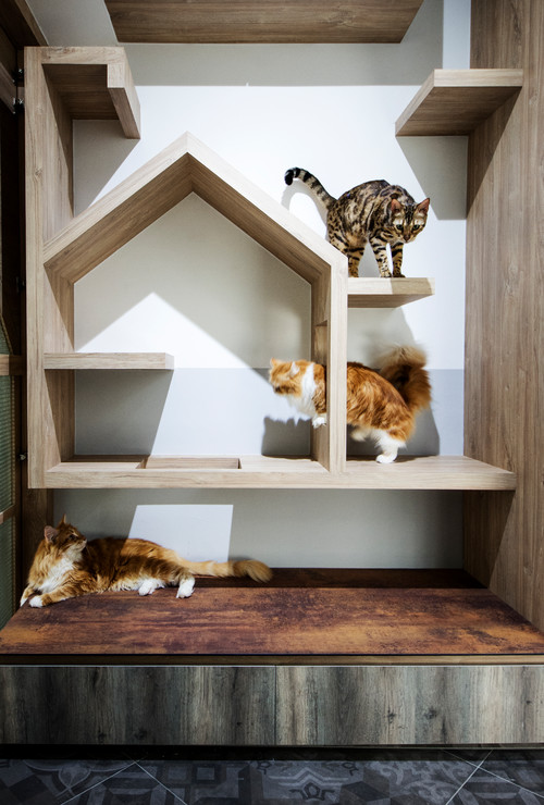 猫たちが気ままに過ごす、ミニマリスト的な部屋 | Houzz (ハウズ)