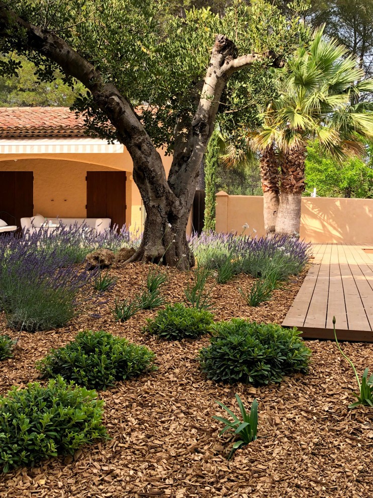 Photo of a mid-sized contemporary garden in Nice.