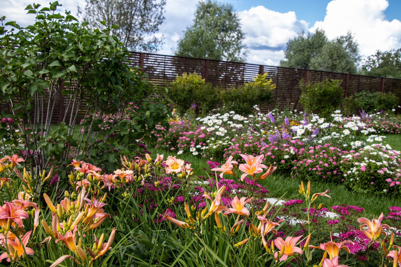 Сосновые берега