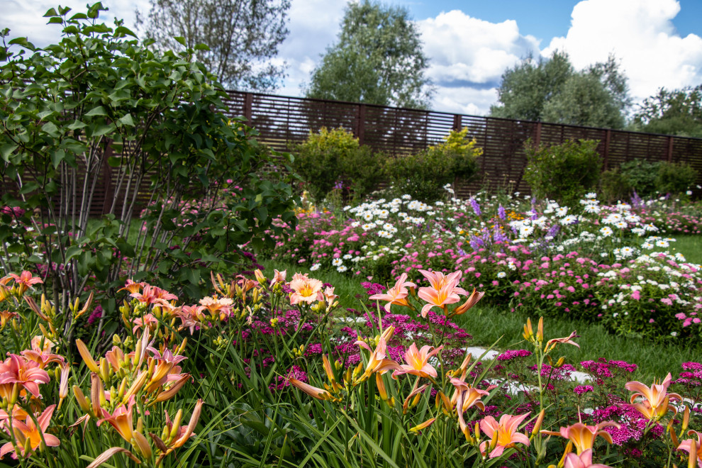 Сосновые берега