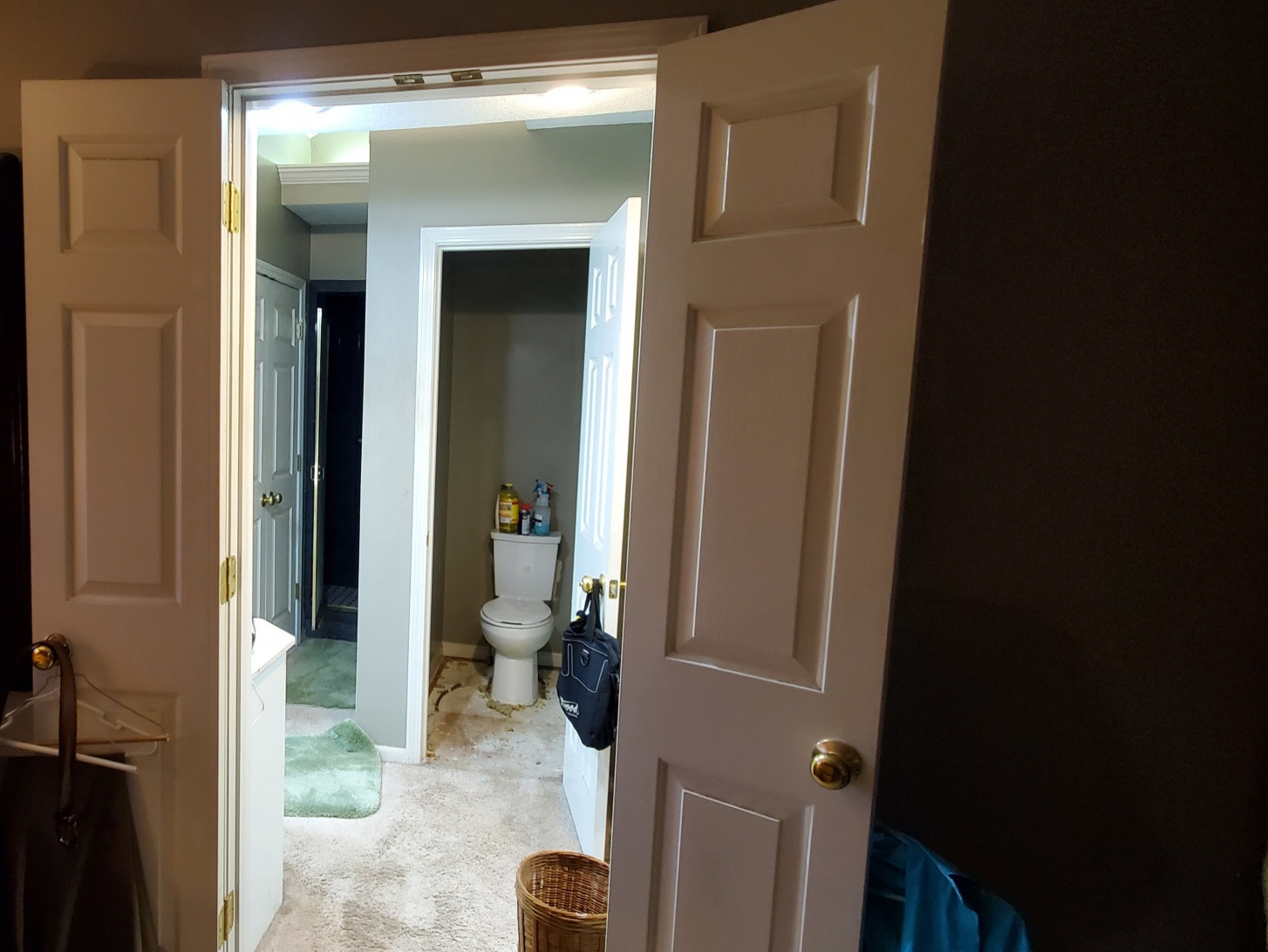 Aging in Place Master Bath