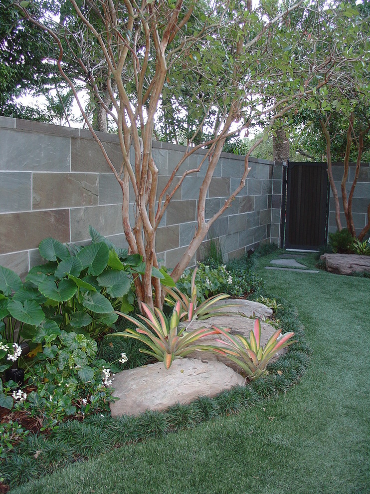 Photo of a contemporary backyard garden in Miami.