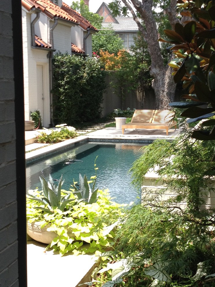 This is an example of a mediterranean pool in Dallas.