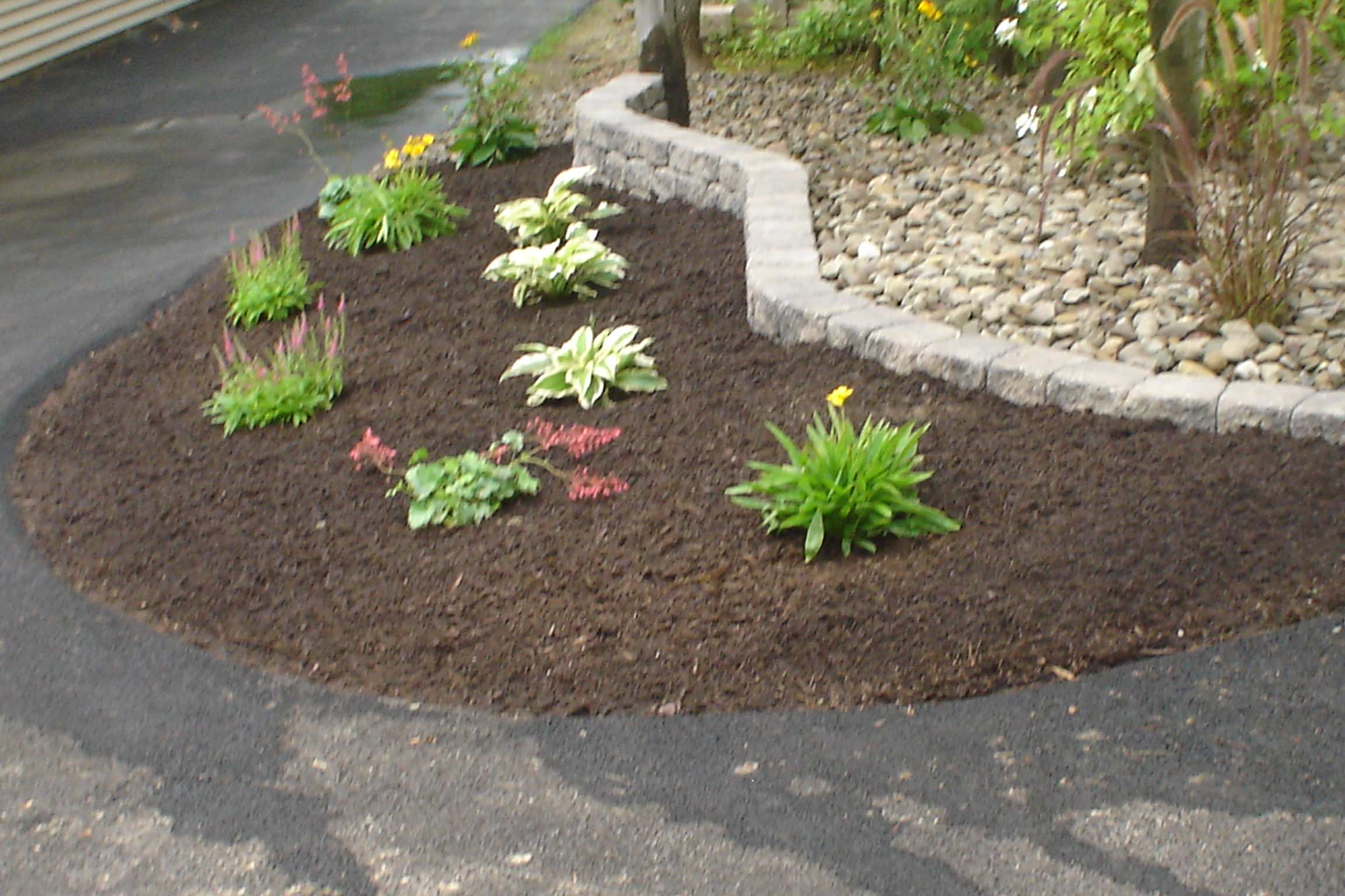 Landscape Plantings