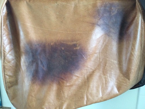 Cat Urine In Aniline Leather
