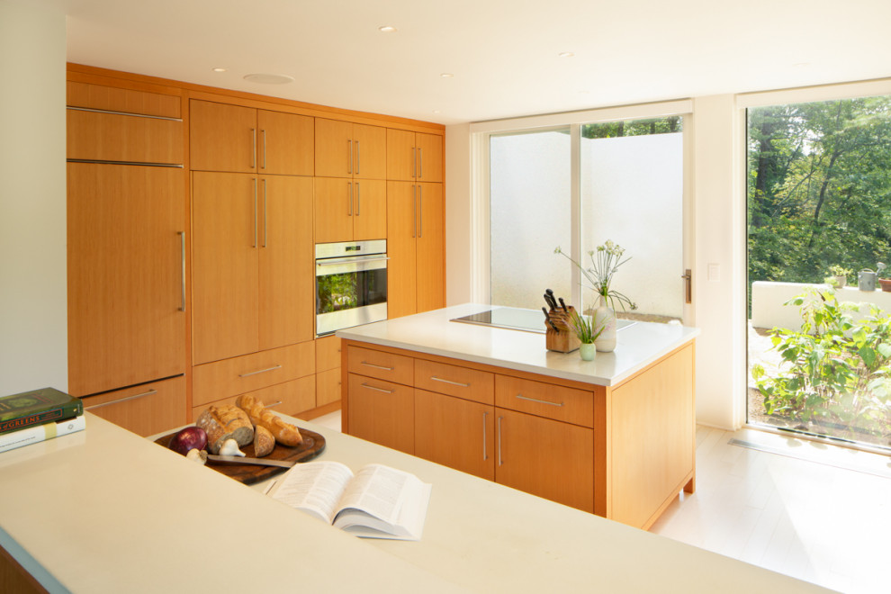 Kitchen - modern kitchen idea in Boston