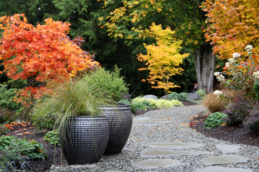 This is an example of a contemporary backyard garden for fall in Seattle with a container garden and gravel.