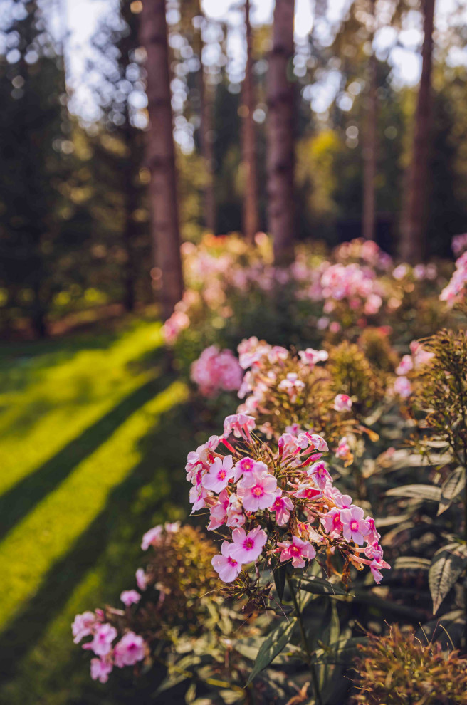 Архитектурное Решение в Пейзажном Стиле