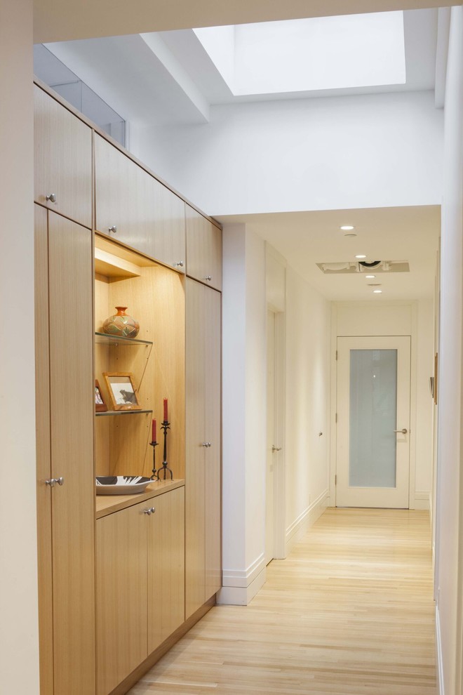 Photo of a mid-sized contemporary hallway in New York with white walls, light hardwood floors and brown floor.