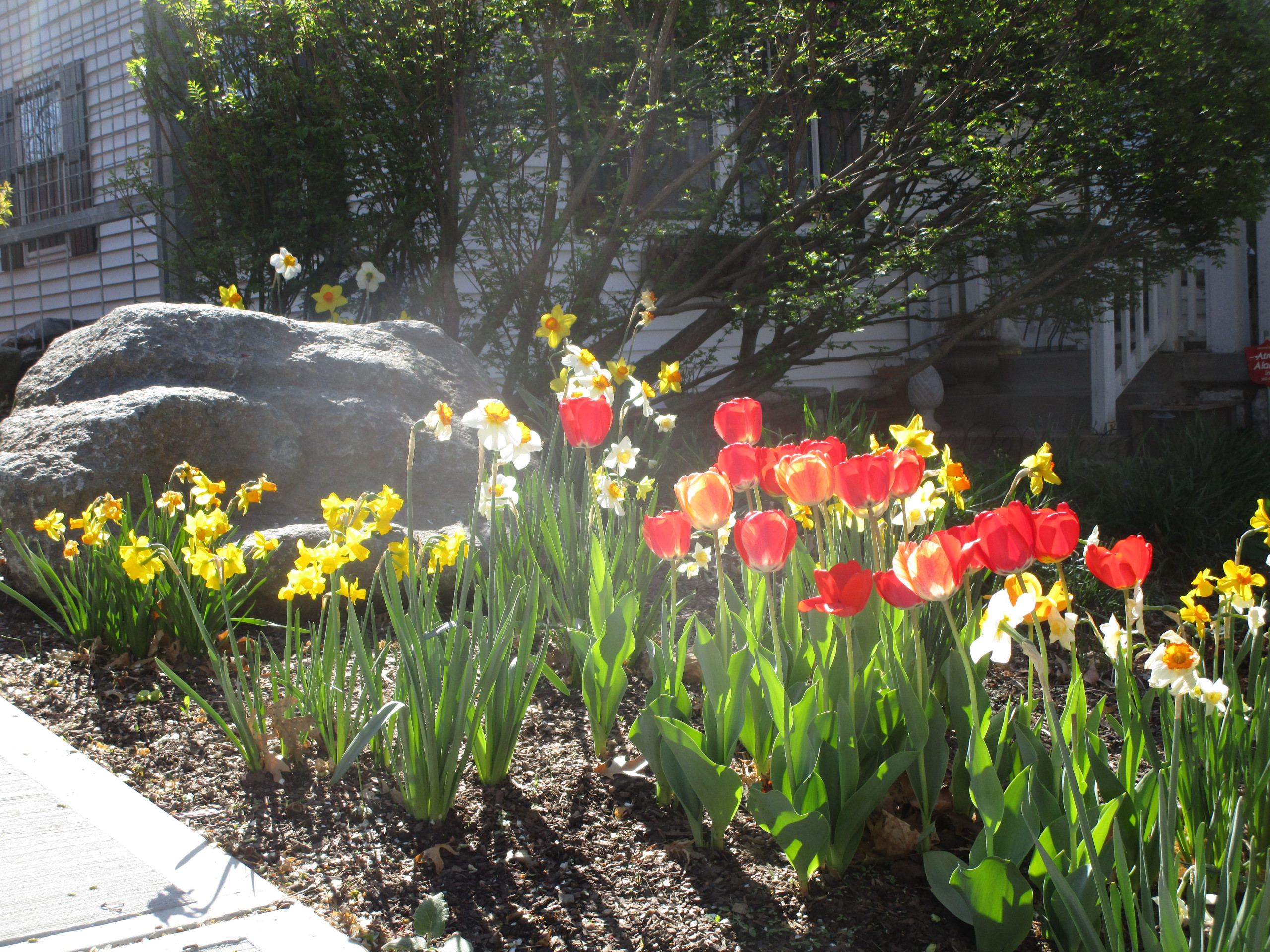 Spring Gardens $