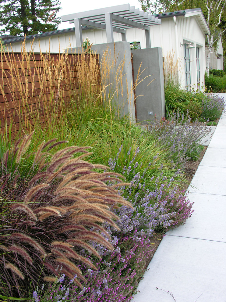 Small modern front yard full sun garden in San Francisco with a garden path and concrete pavers for fall.