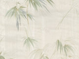 Poales Cream Bamboo Wallpaper - Asian - Wallpaper - by Brewster Home  Fashions