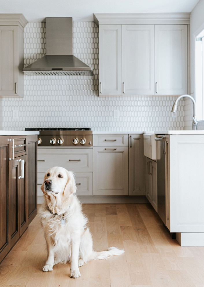 Example of a transitional kitchen design in Denver