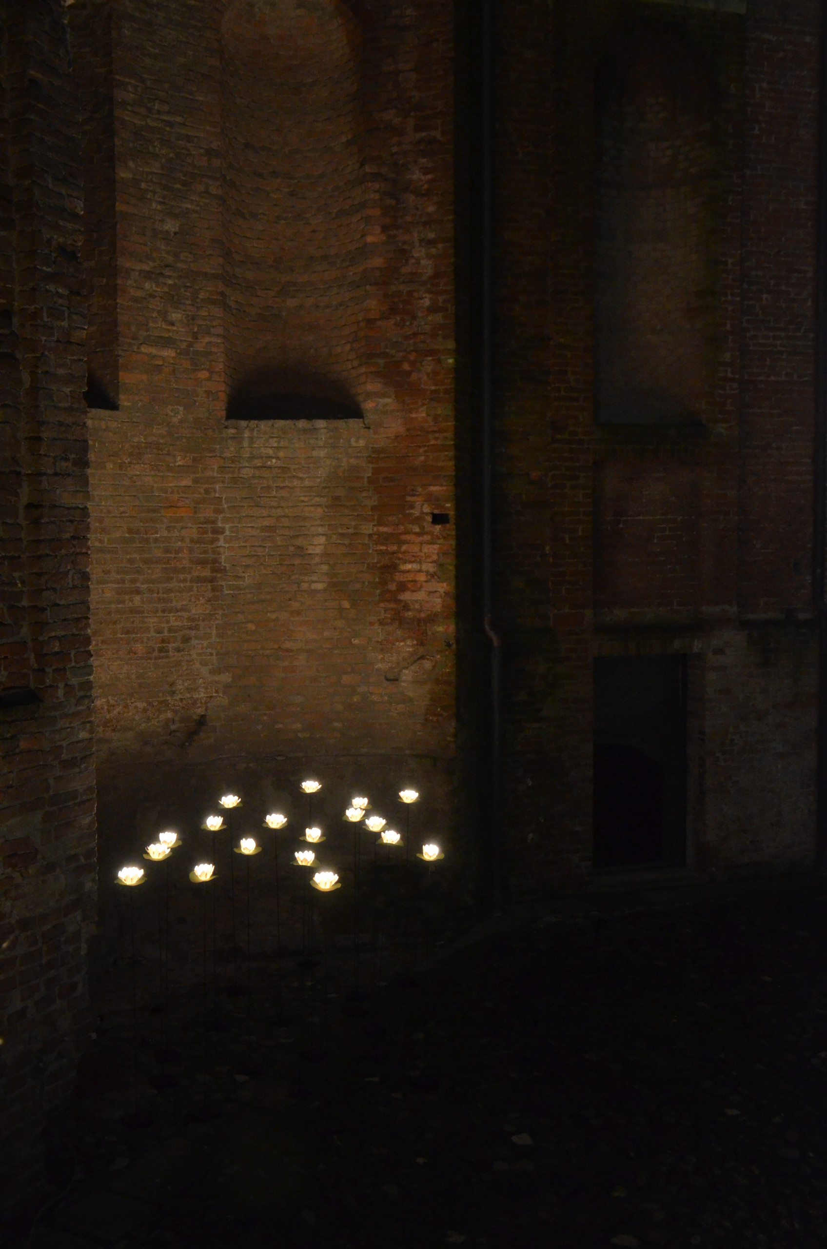 PALAZZO FARNESE | Piacenza | 2014