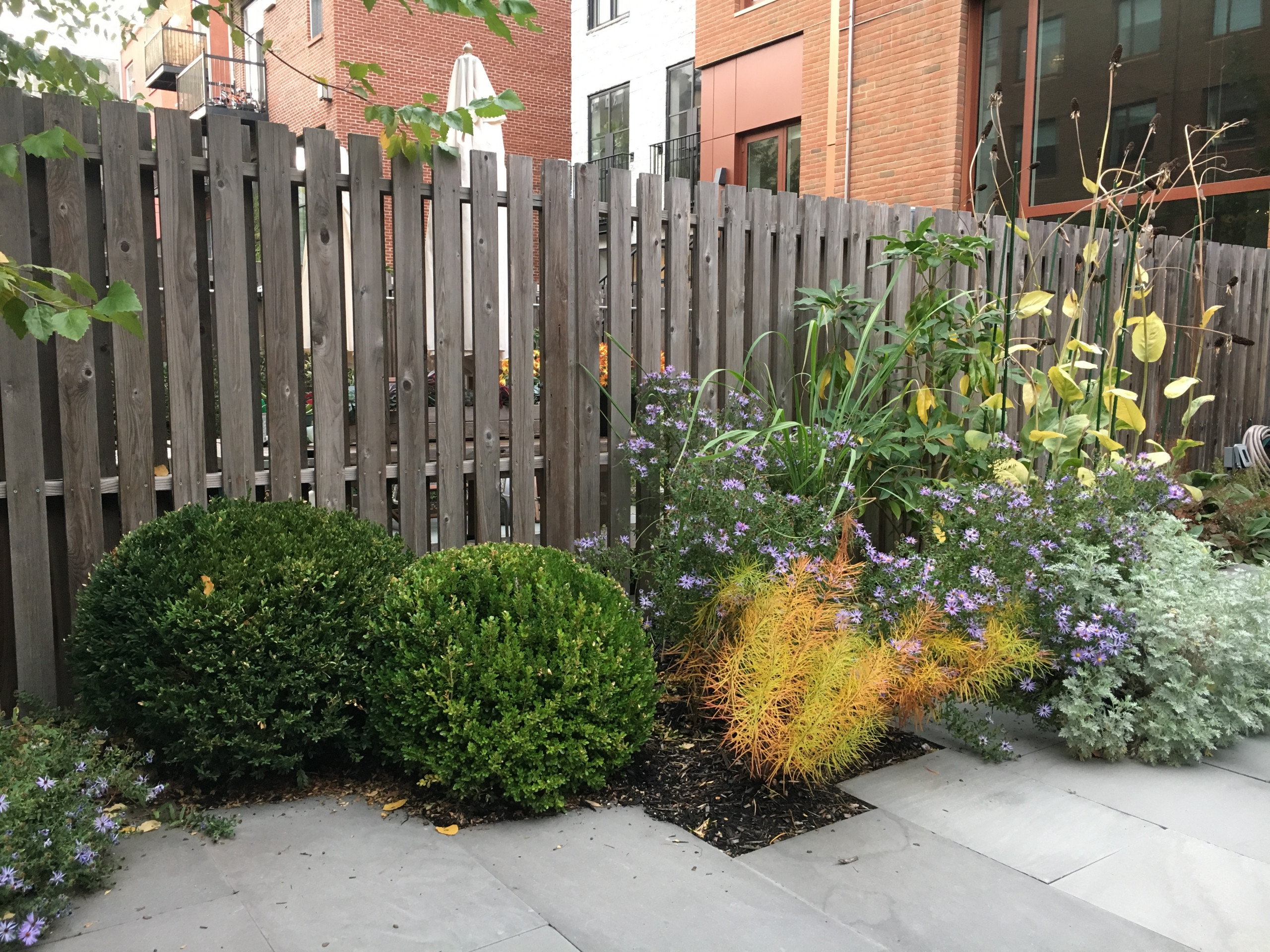 Modern Garden with Curved Corten Border