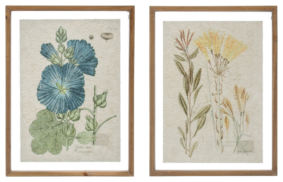 Vintage Floral Wood Framed Wall Décor (Set of 2 Styles) Contemporary