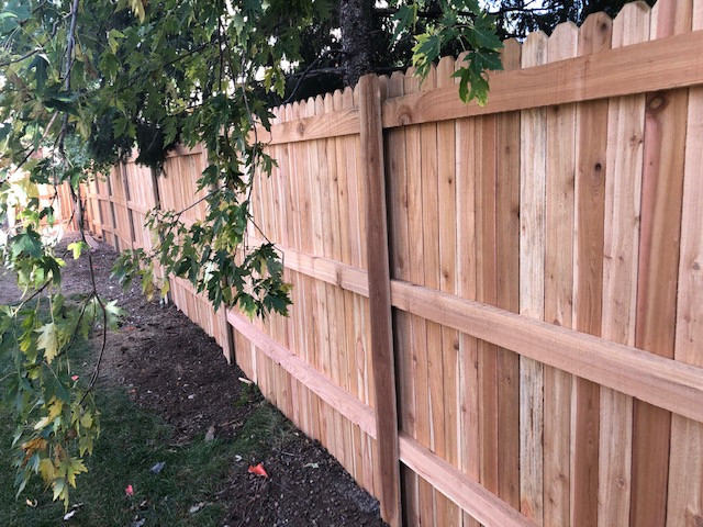 Fences