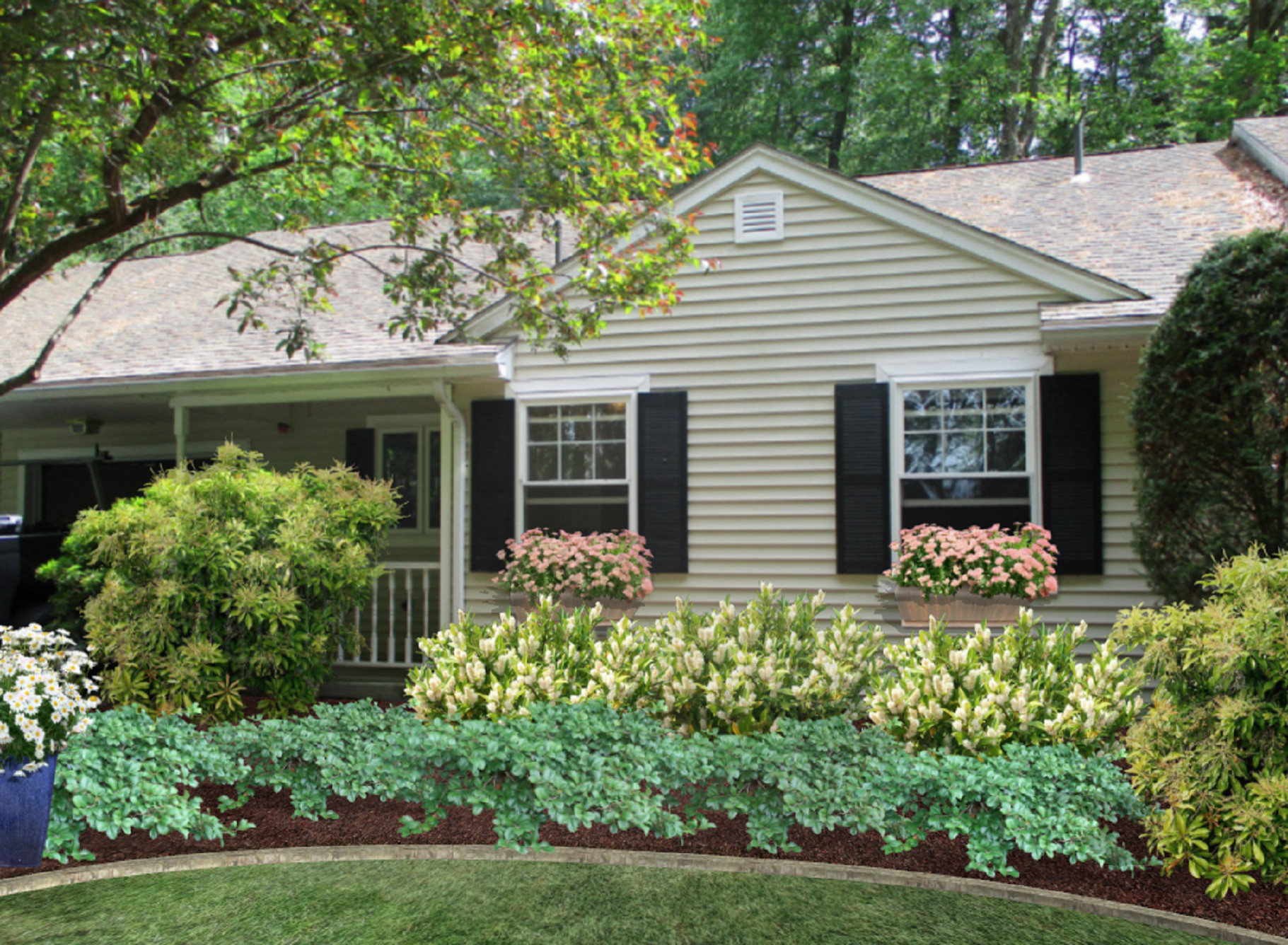 Foundation Plantings