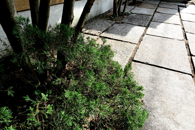 ポーチ giapponese-moderno-portico