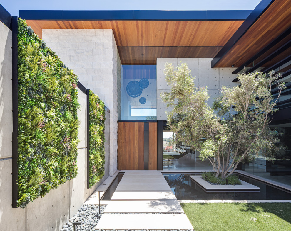 Inspiration for a contemporary front yard garden in Orange County with a vertical garden.
