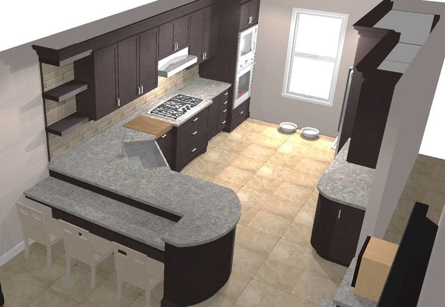 Kitchen Remodel transitional-rendering