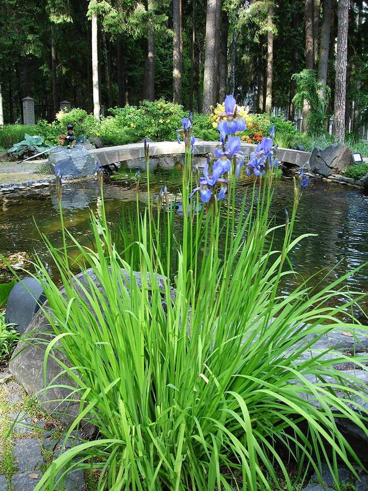 Сад с водоемом в КП " Сосновый Бор"