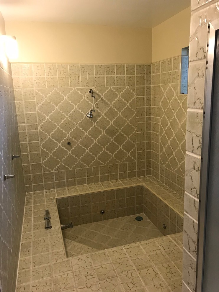 help with design ideas for a remodel of this Roman tub/shower