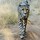 teresa_hall65