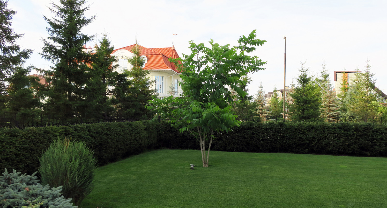 Сад с геометричным водоемом