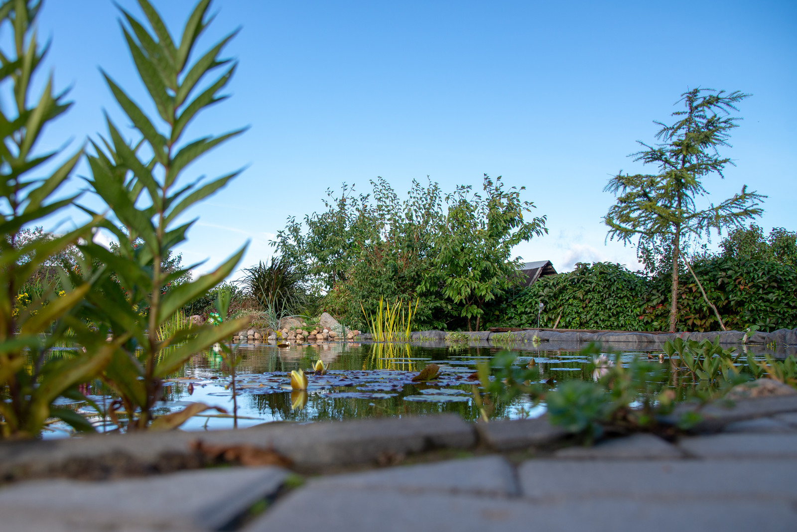 Участок в Ломоносовском районе Ленобласти