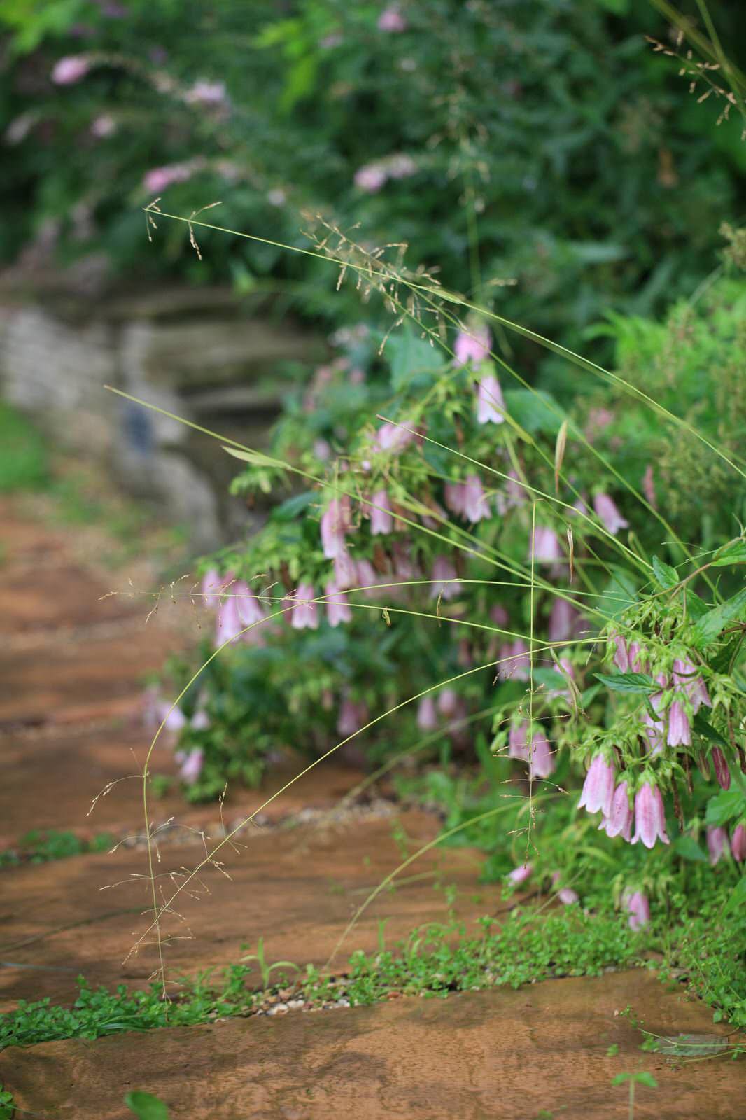 Бельгийская Деревня