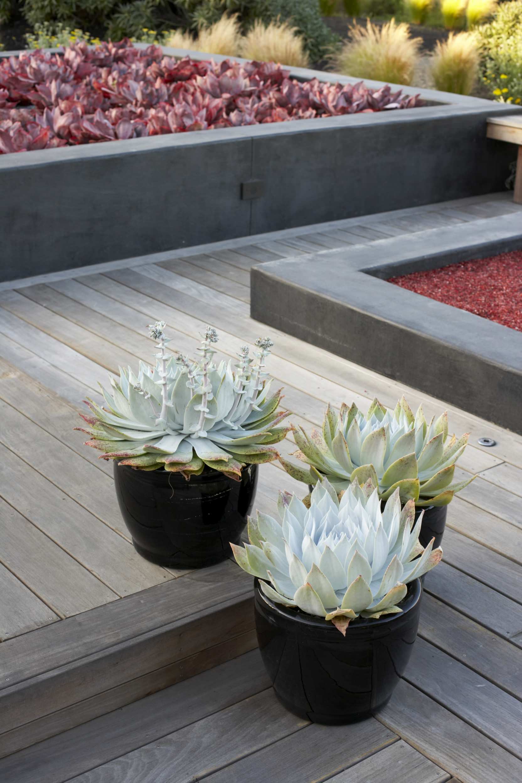 blue indoor plant pots Halona Planter - Blue/Green