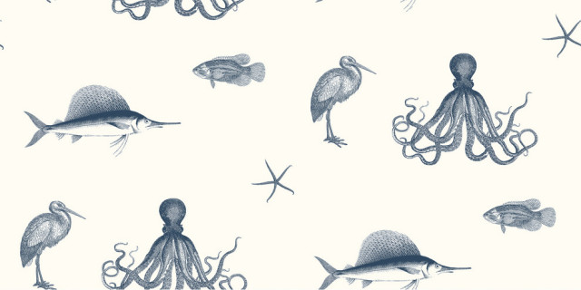 Ventura Navy Sea Creature Wallpaper Bolt