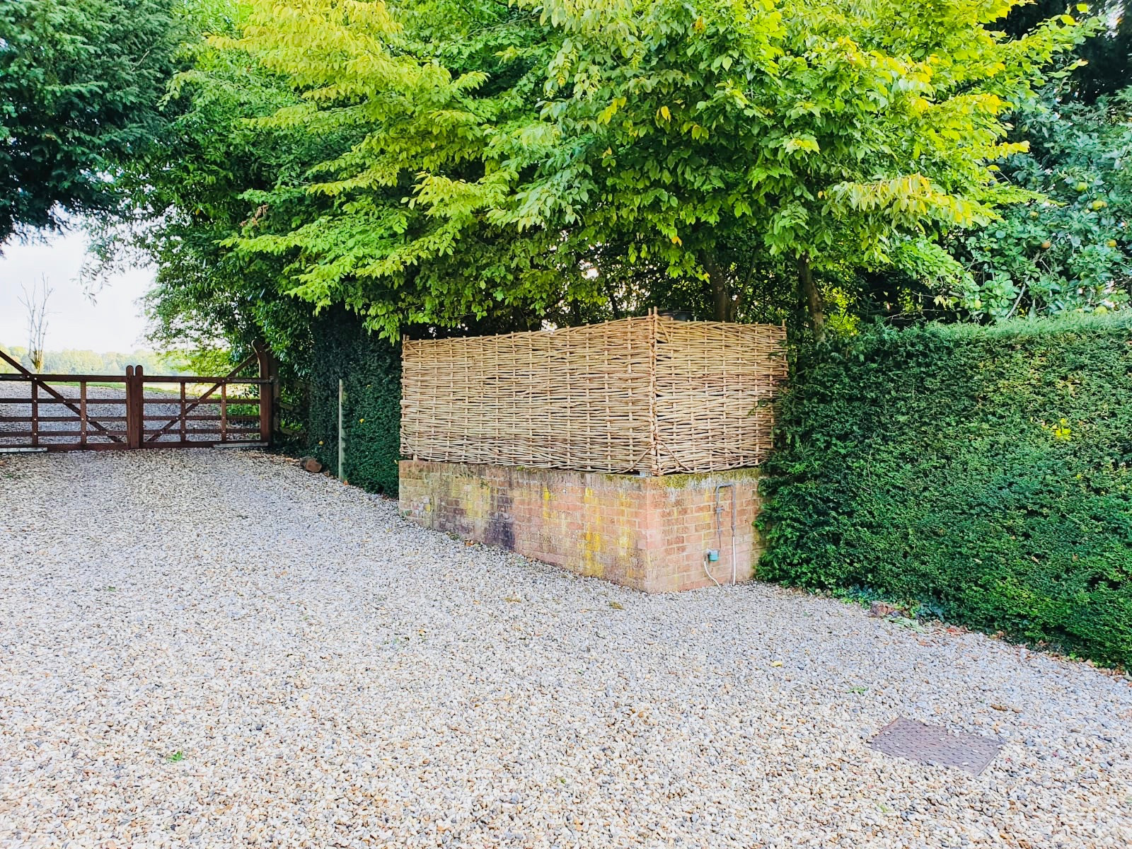 Garden Screening Ideas