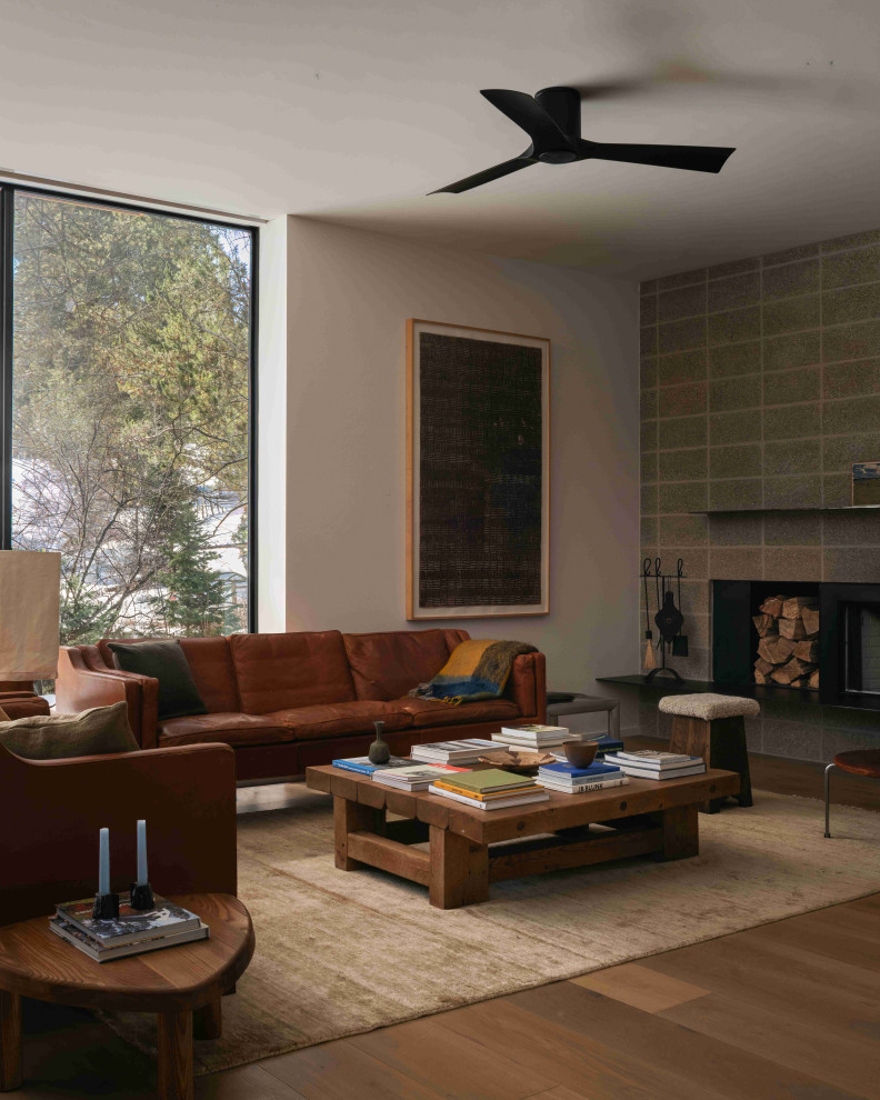 Living room - modern living room idea in Los Angeles