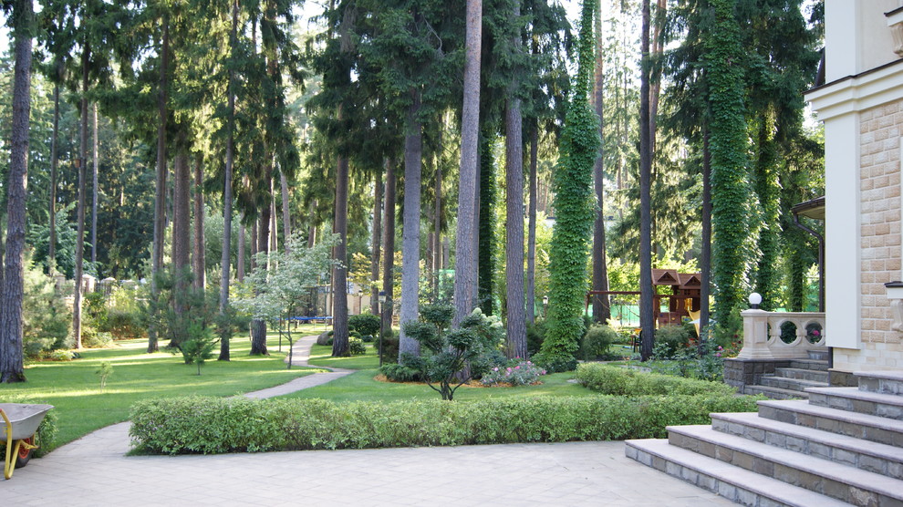 Сосновый бор