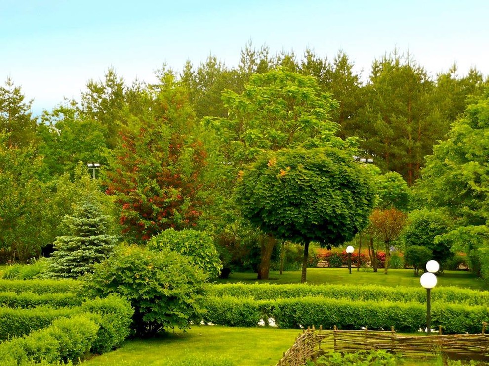 Игра на контрасте в ландшафтном проекте сада