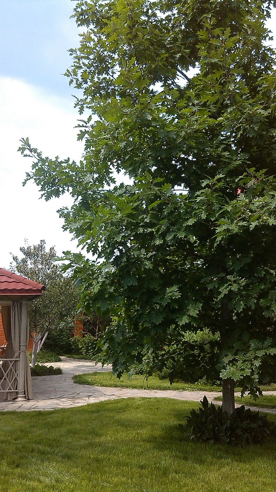 Домик среди старых дач