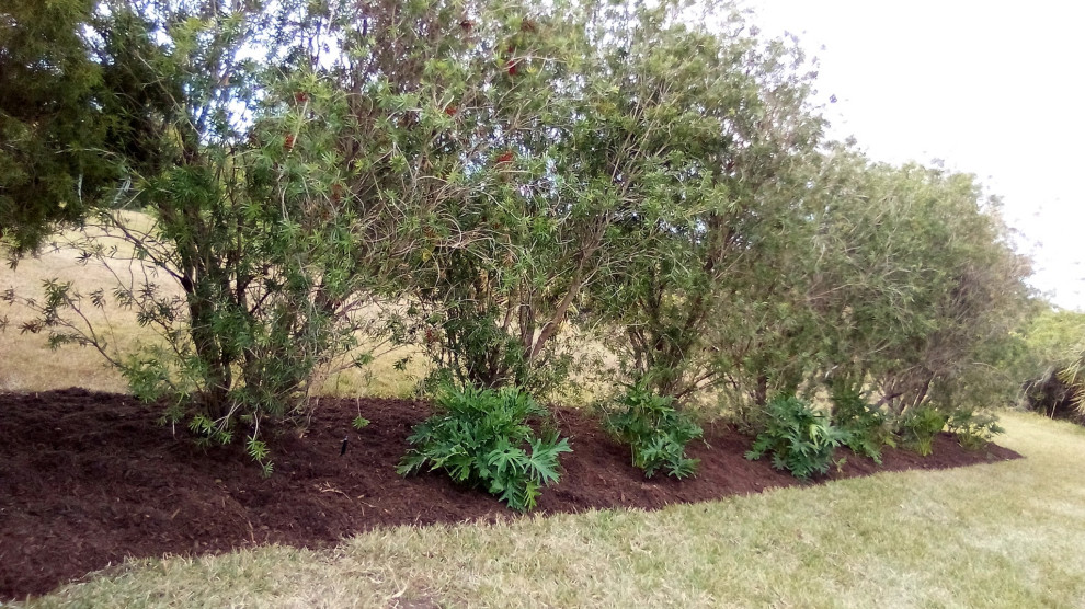 This is an example of a privacy and full sun side yard mulch landscaping.