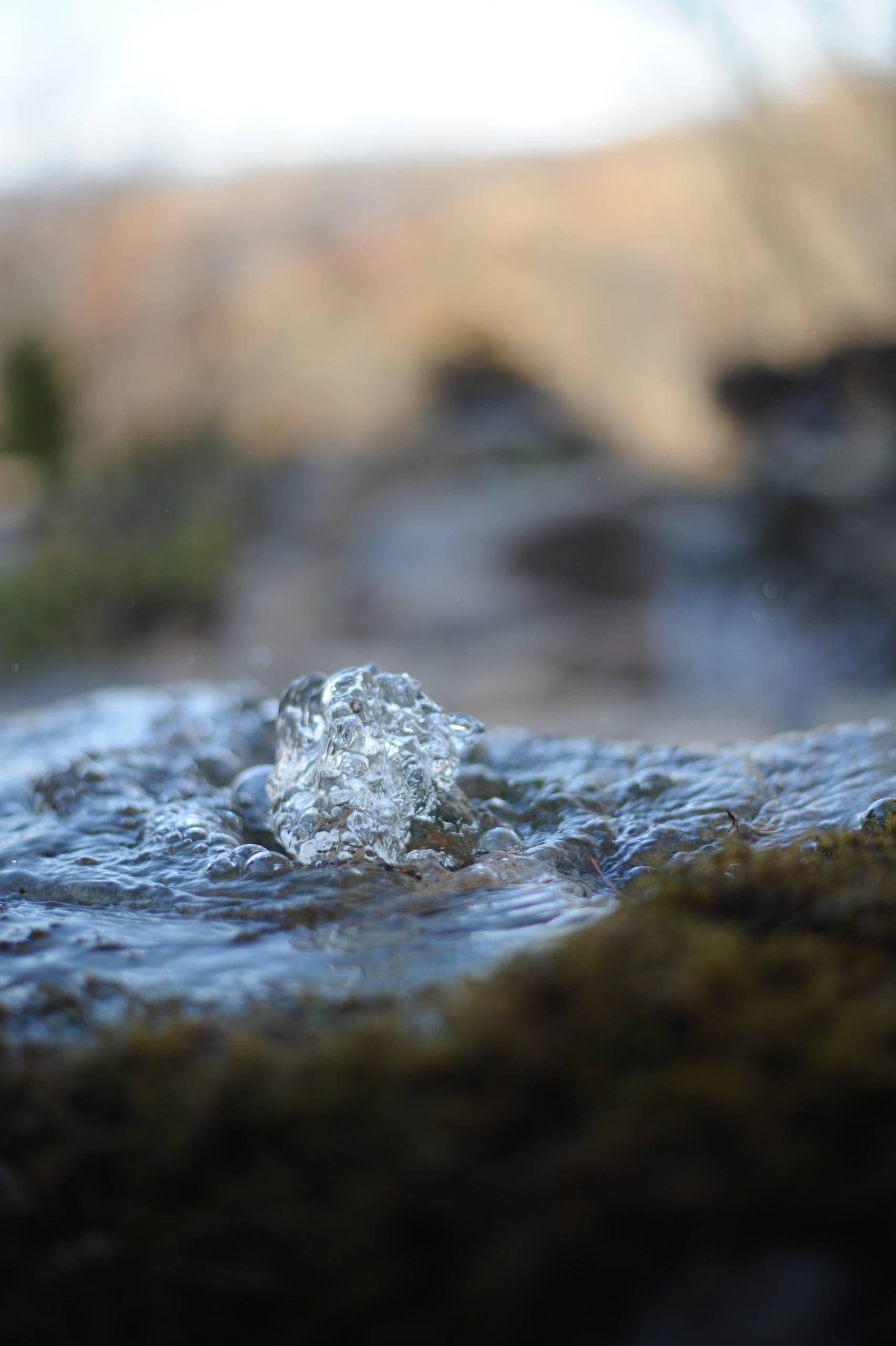 Custom Landscape with Water Features