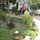 imelda_healy