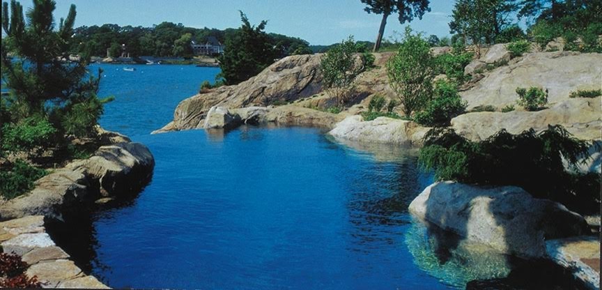 Example of a large island style backyard stone and custom-shaped natural pool design