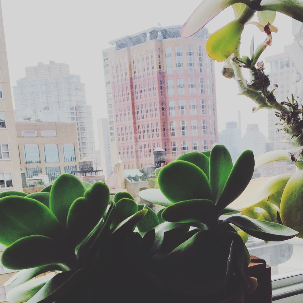 Central Park West Apartment