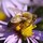kathy_rosendale