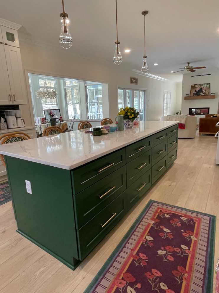 CHARLOTTESVILLE FULL HOUSE REMODEL