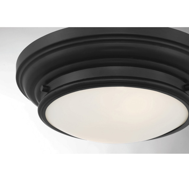 2-Light Ceiling Light, Matte Black - Transitional - Flush-mount Ceiling ...