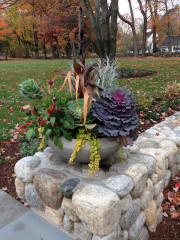 11 Easy-Care All-Foliage Container Gardens for Fall